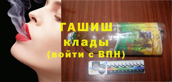 индика Белокуриха