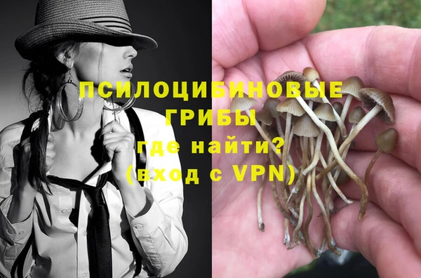 индика Белокуриха