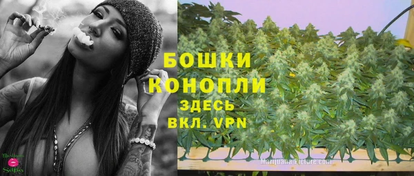 индика Белокуриха
