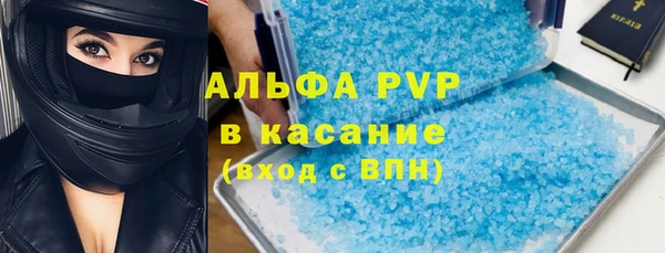 индика Белокуриха