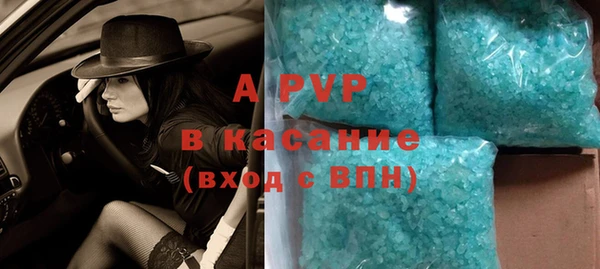 индика Белокуриха