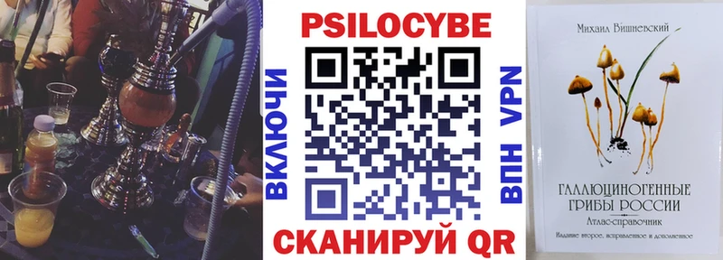 Галлюциногенные грибы Psilocybine cubensis  закладки  Острогожск 